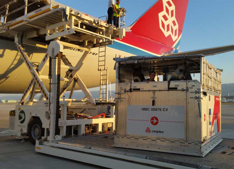 Caballos siendo cargados en un Boeing 747-8F de Cargolux. Imagen a modo de ilustración. Foto: Cargolux.