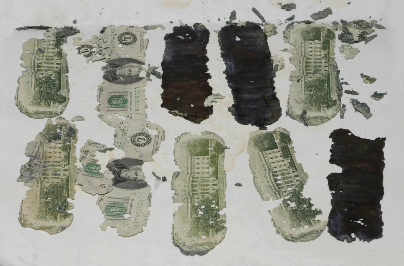 Parte de los billetes recuperados en el río Columbia. Foto: FBI