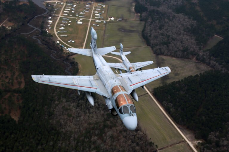 Una pareja de Grumman EA-6B Prowler durante el vuelo de despedida del modelo en 2019. Foto: Cpl. N.W. Huertas / US Marine Corps.