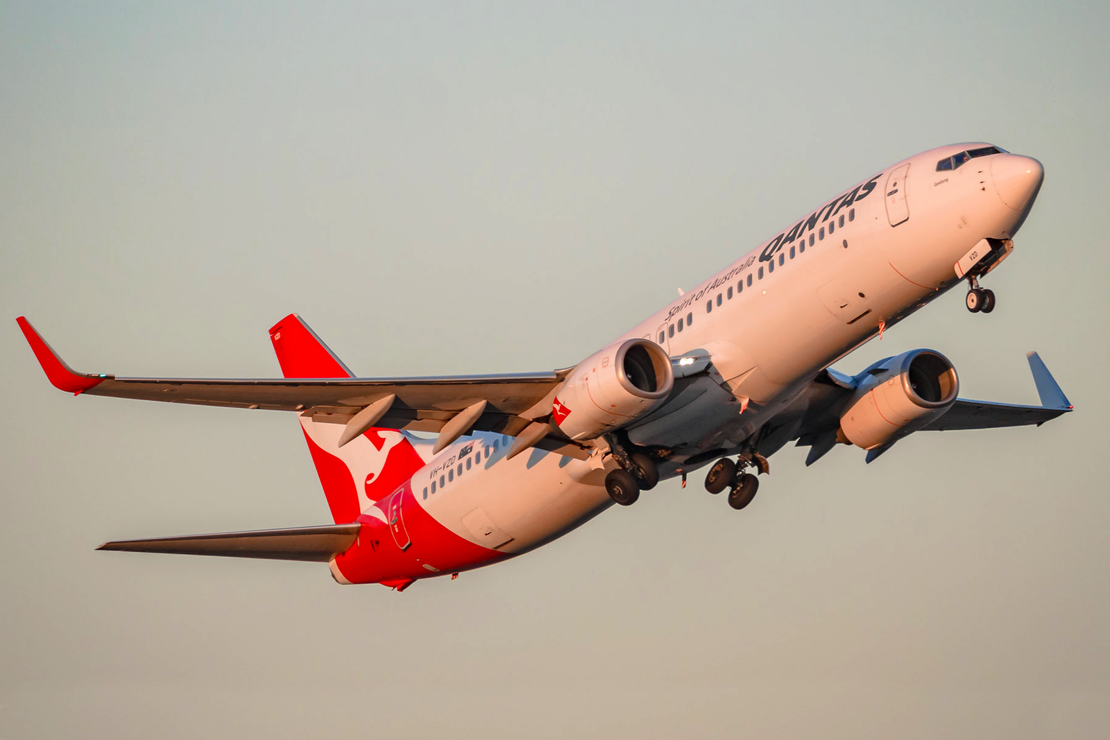 Qantas tiene actualmente 75 unidades del 737-800 en su flota. Foto: Anthony Kernich