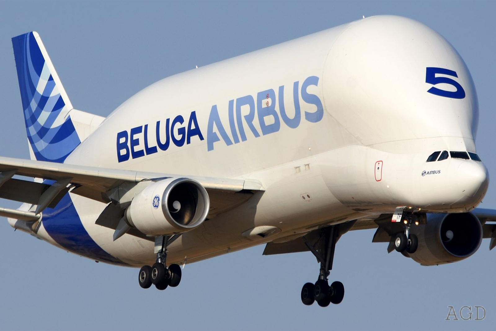Airbus tiene 5 unidades del A300ST Beluga. Foto: Alberto González
