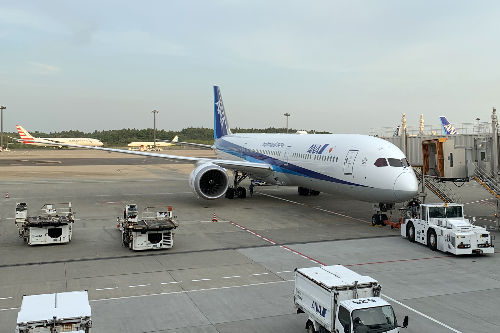Boeing 787-10 de ANA. Foto: Chinnian
