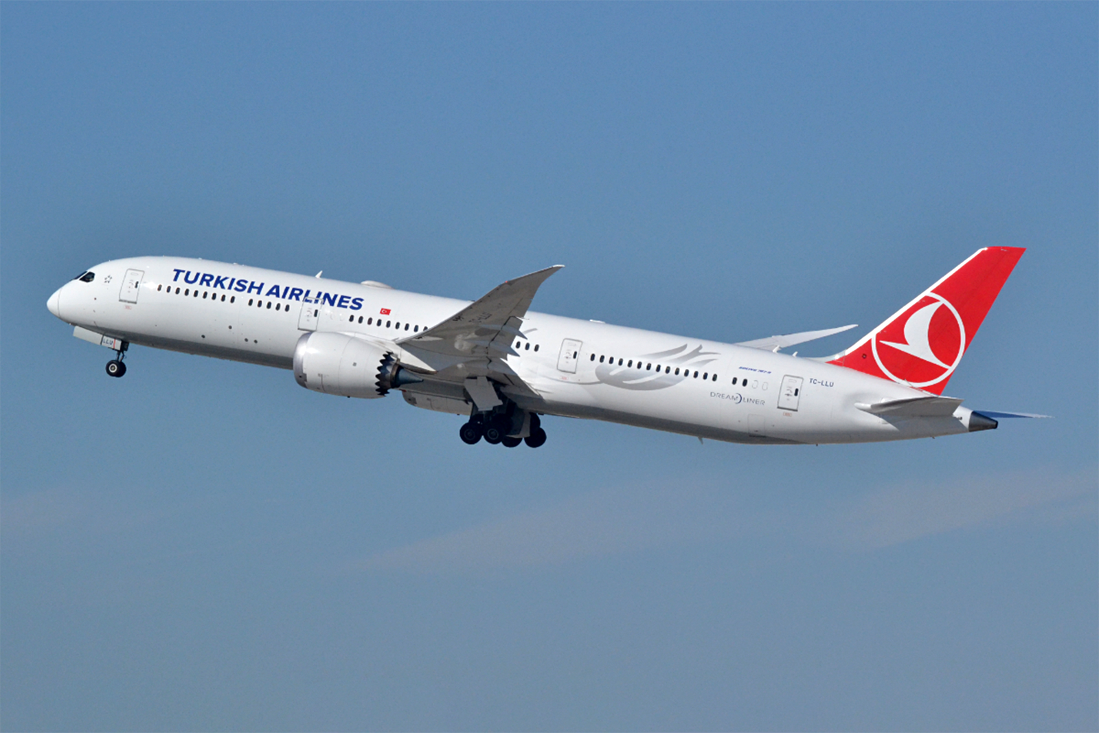 Boeing 787-9 de Turkish Airlines. Foto: Greg Gayden