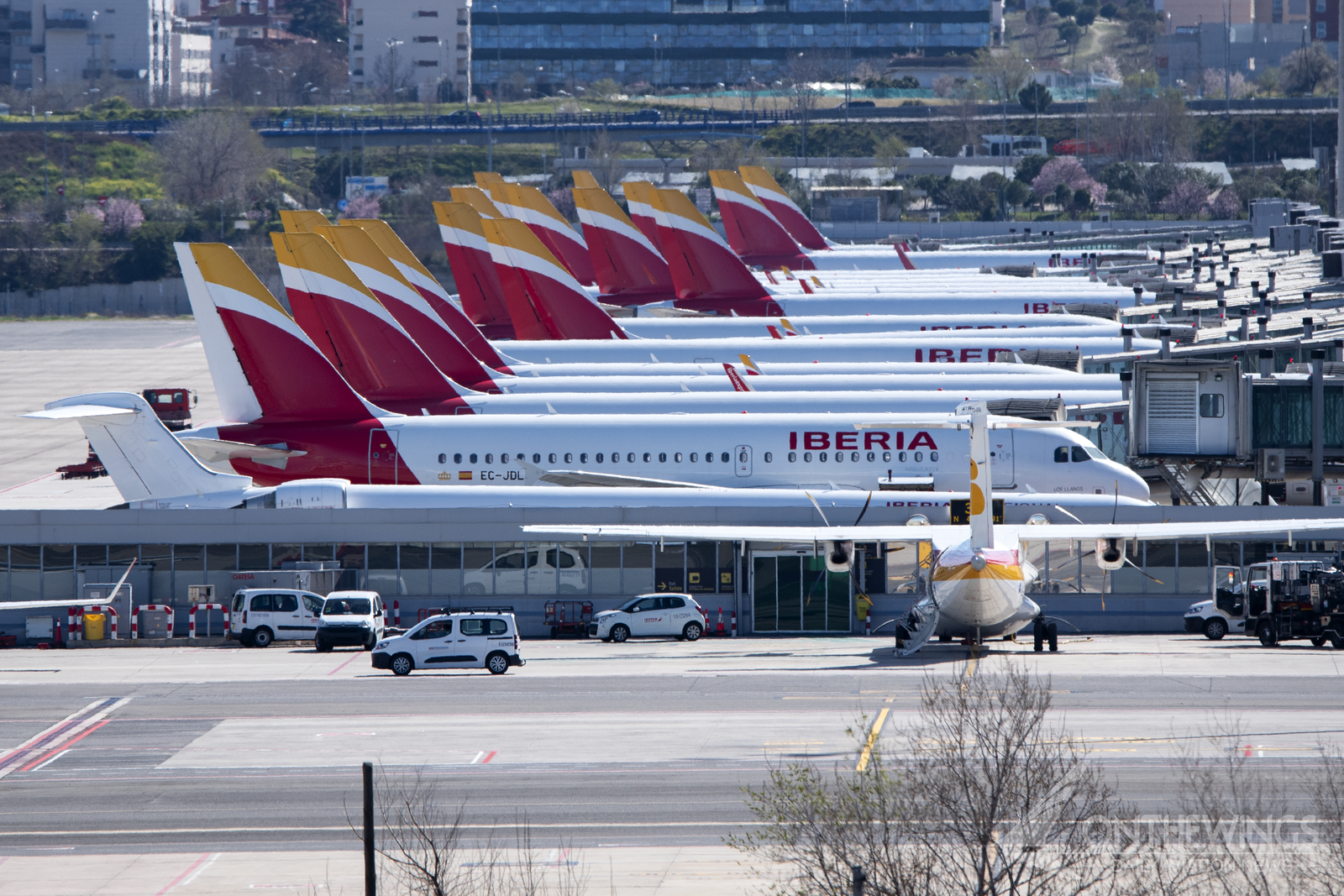 Aviones de corto y medio radio de Iberia en la terminal T-4 de Madrid.